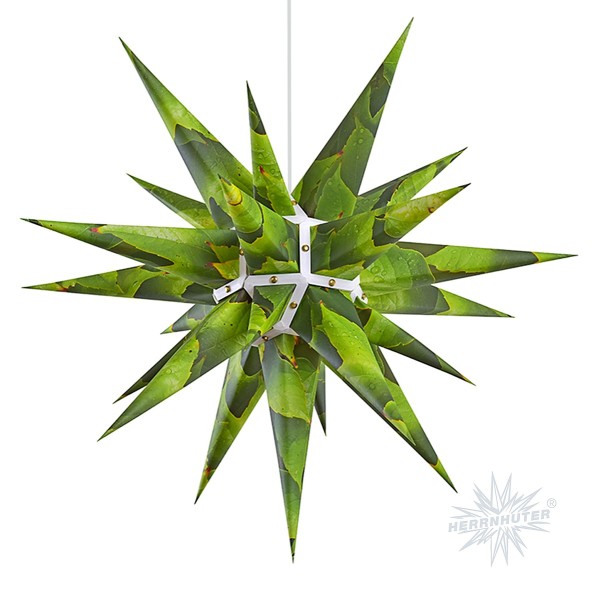 Herrnhuter® Papierstern | Edition Natur - Weinlaub