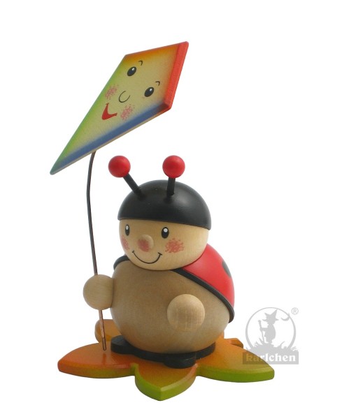 Ladybug with kite