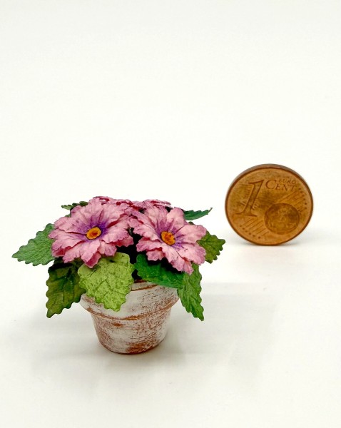 Chrysantheme, lila