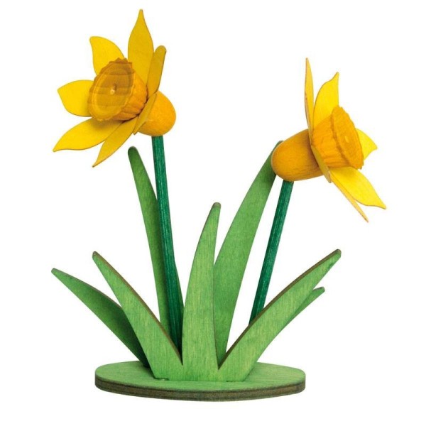 Deko-Narzisse