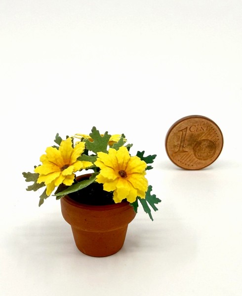 Chrysantheme, gelb