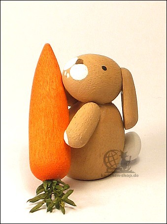 bunny with carrot