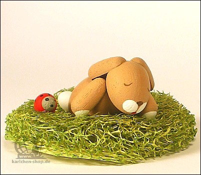 bunny in the nest, sleeping