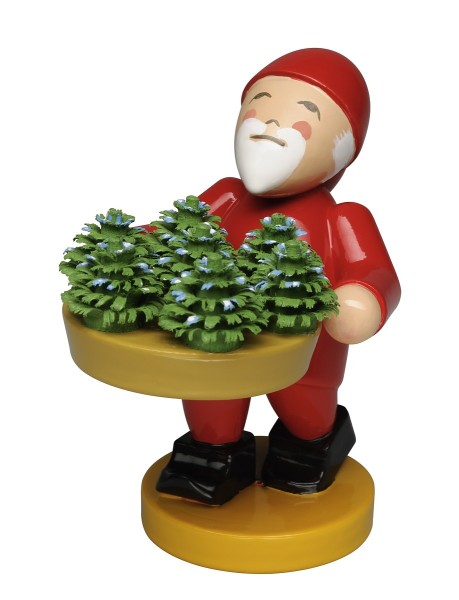 Gnome with Little Plants